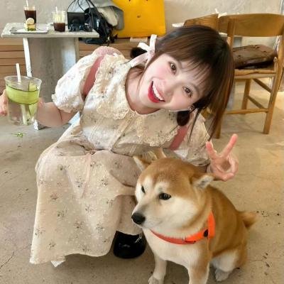 圣骑密令